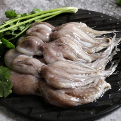 渔港小章鱼400g/袋*20袋/箱