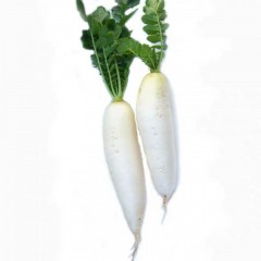 白萝卜/斤