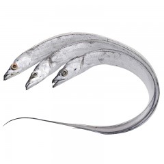 国产 鲜刀鱼（3-4两/条）散称/斤