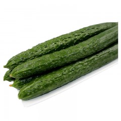 黄瓜（通货）/斤