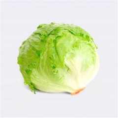生菜球/团生菜（通货）/斤