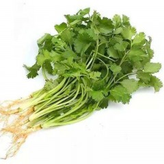 香菜 普通 1斤/包