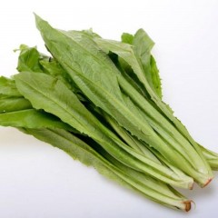 油麦菜 普通 4斤/筐