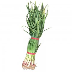 红皮青蒜 3斤/袋