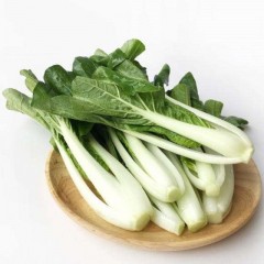 小白菜 普通 5斤/筐