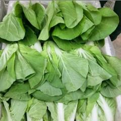 快菜直采 5斤/袋