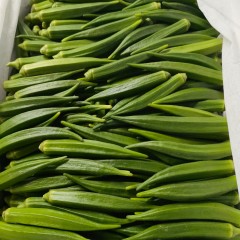 秋葵 深绿 长7厘米左右 2斤/袋