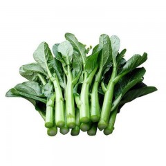 菜心 优质 中颗 3斤/包