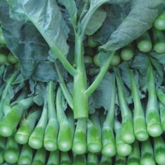 芥蓝 优质 3斤/袋