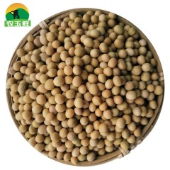 农玉鲜 黄豆 5kg/袋