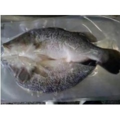 肴记食品 探江海鲈鱼 500克/袋