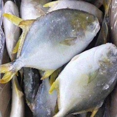 金鲳鱼 400-500克 450克/袋