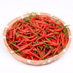 小米椒 红 优质 500g/斤