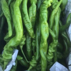 山东螺丝椒 普通 色泽光亮 5斤/袋