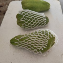 佛手瓜 通货 6斤/袋