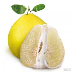 琯溪柚子 白心柚 2斤/个