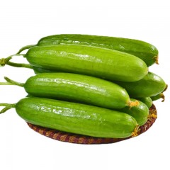 白玉水果小黄瓜精品果 4.5斤/箱