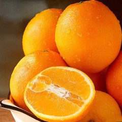 江西赣南脐橙 5斤/箱