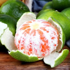 无籽蜜橘 5斤/箱