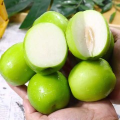 福建牛奶青枣 5斤/箱