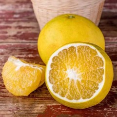 葡萄柚 4.5斤/箱