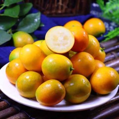 融安金桔 3斤/箱