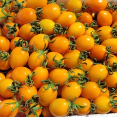 黄圣女果 11.59/斤