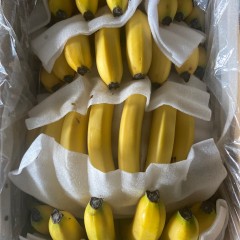 国产香蕉 25斤/箱