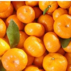 桔子 南丰蜜桔 2斤/份