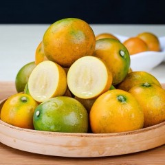 脆皮金桔 3斤/箱