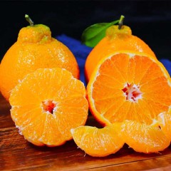 四川不知火丑橘 8斤/箱