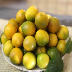 脆皮金桔 5斤/箱