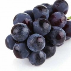 浙江巨峰葡萄 1斤/箱