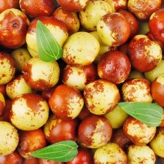 山东 冬枣 5斤/箱