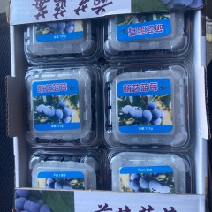 精品蓝莓 3斤/箱